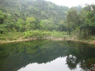 IMG_3245.jpg