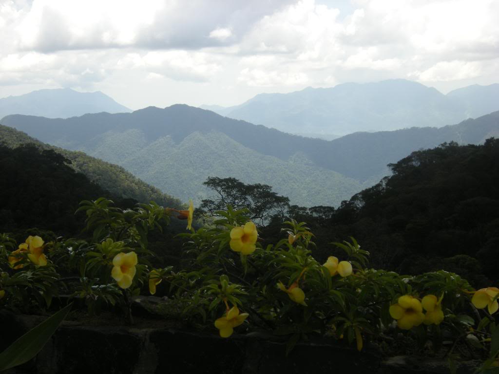 DSCN6887.jpg