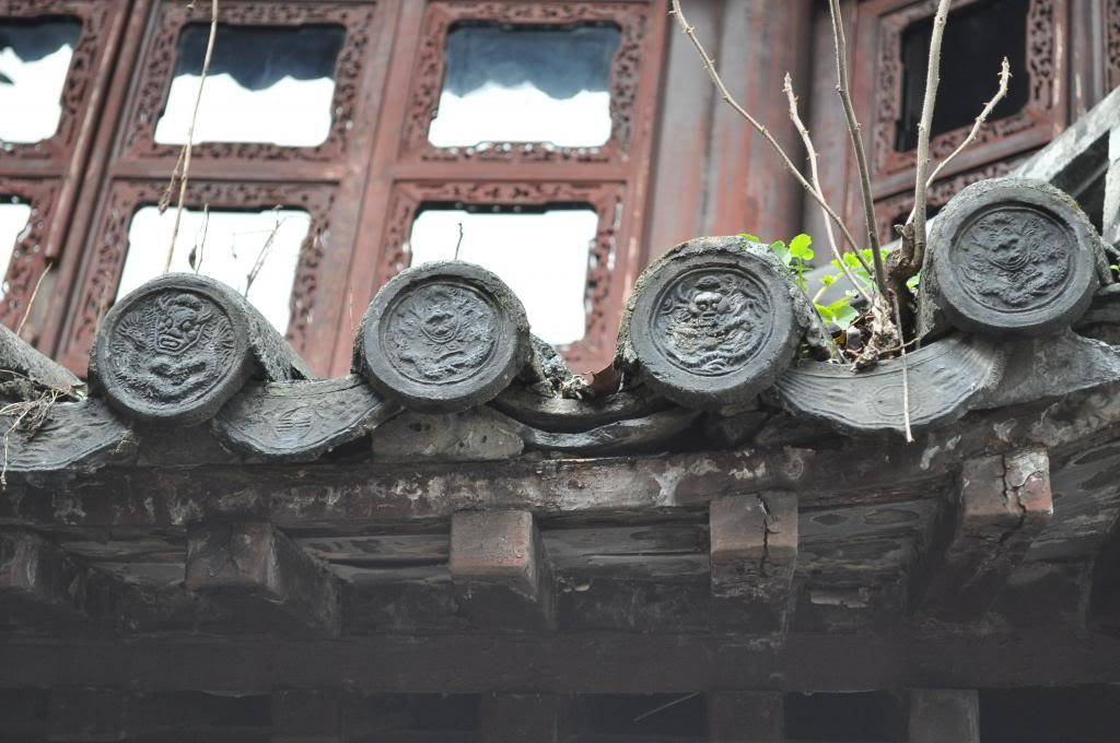 DSC_6455_zps048dc0c1.jpg