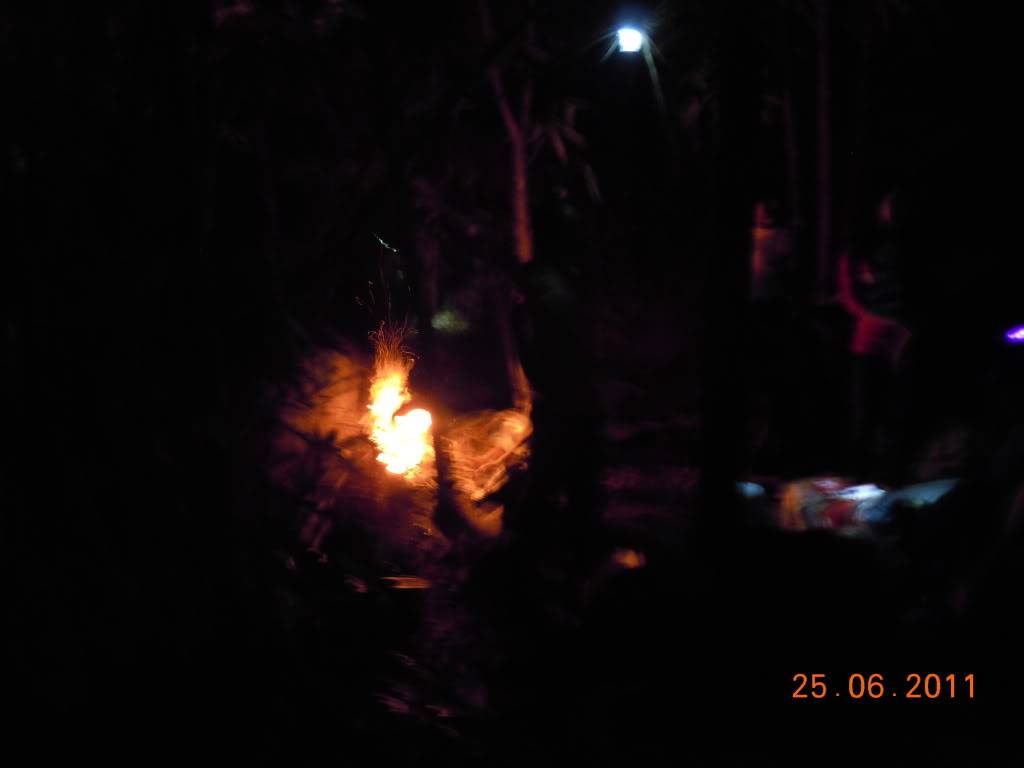 DSCN2413.jpg