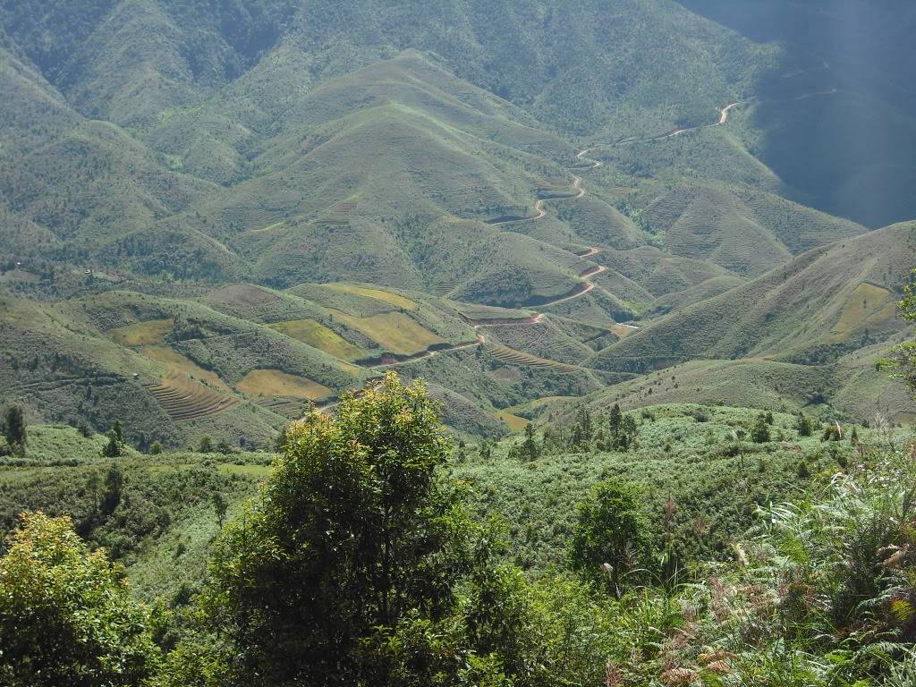 DSCF5877.jpg