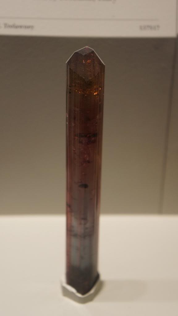 DSC05793_zps504cbe72.jpg