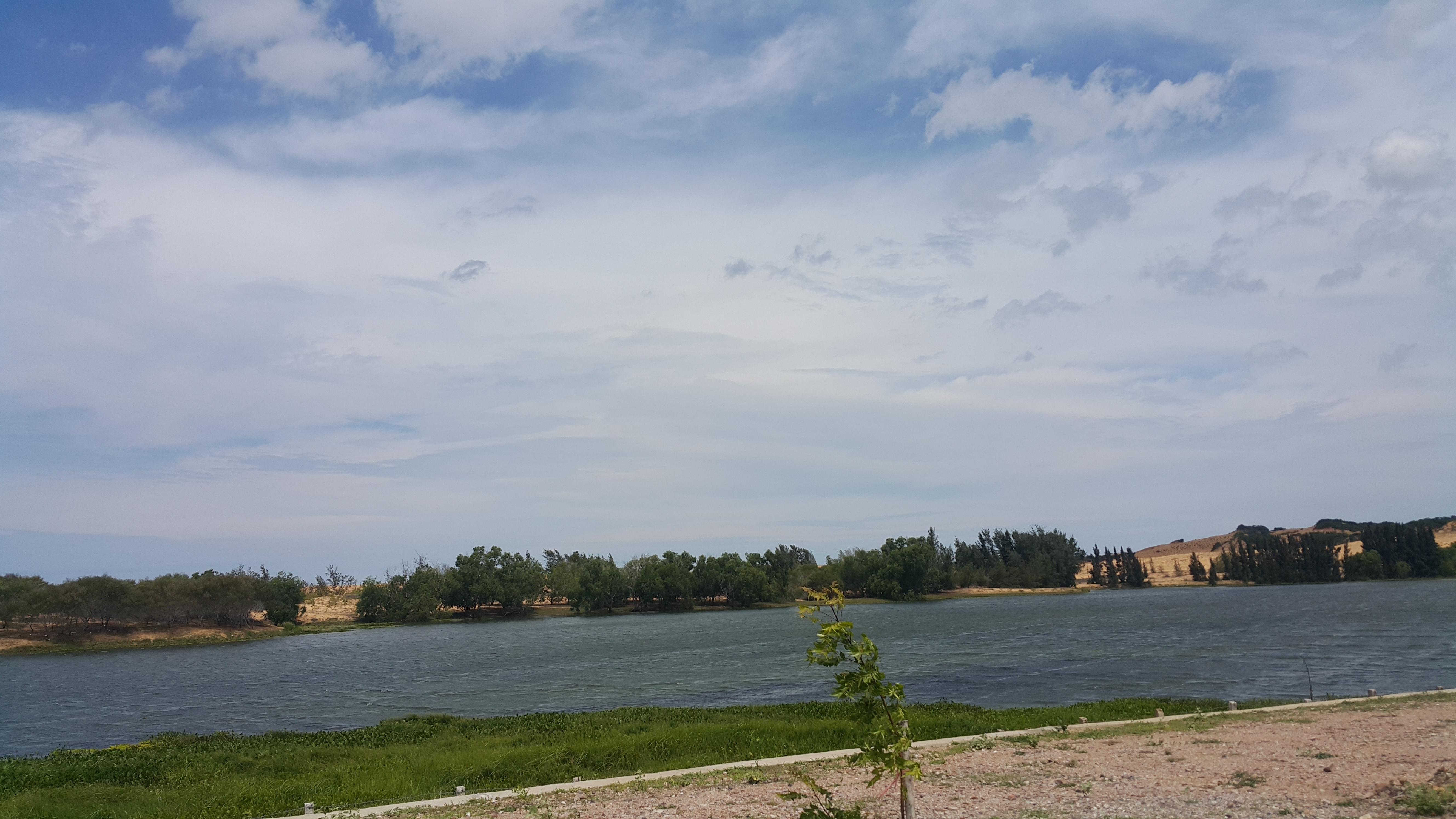 20170622_130246.jpg