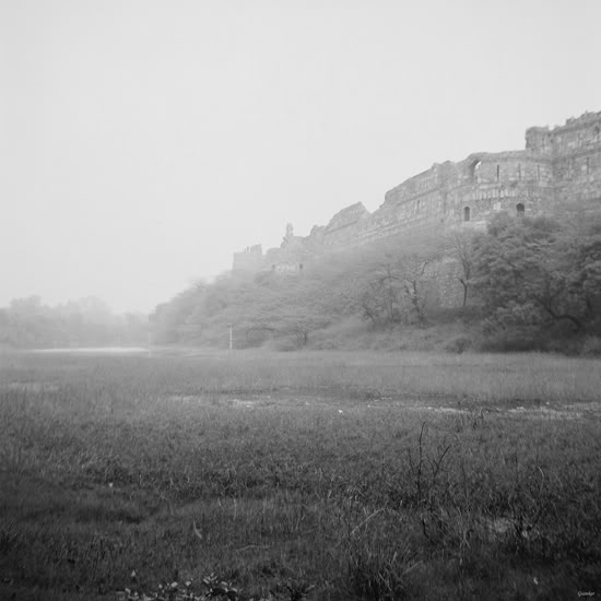 delhi2-02.jpg
