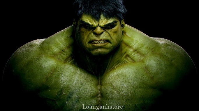 hoang_anh_storeminix_x7.jpg