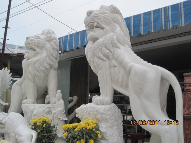 IMG_6731.jpg
