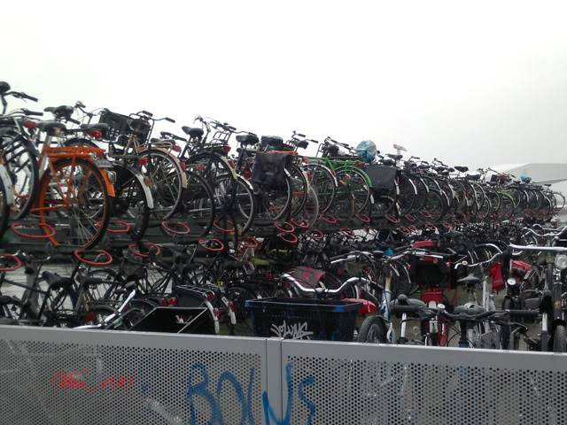 Ams3.jpg