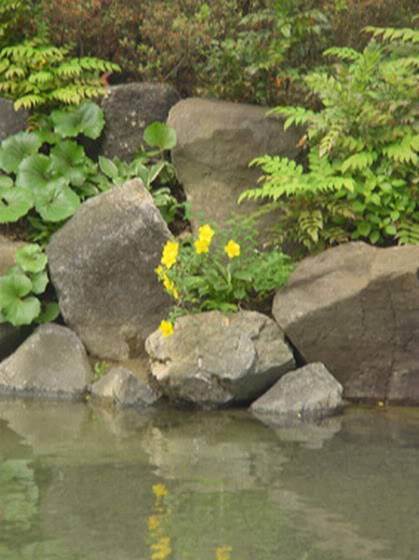 084_resize.jpg
