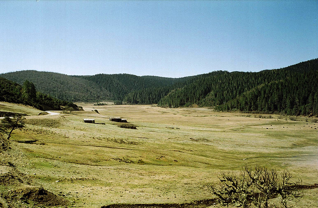 4729016353_1ab5660cc4_z.jpg