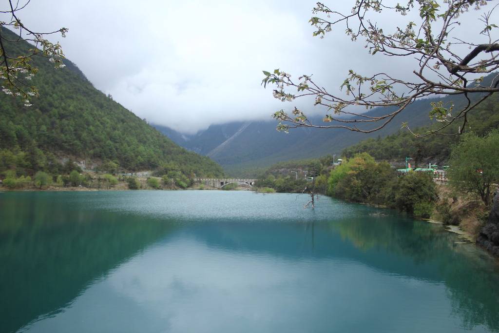 IMG_9709_zpsdzrpimbl.jpg