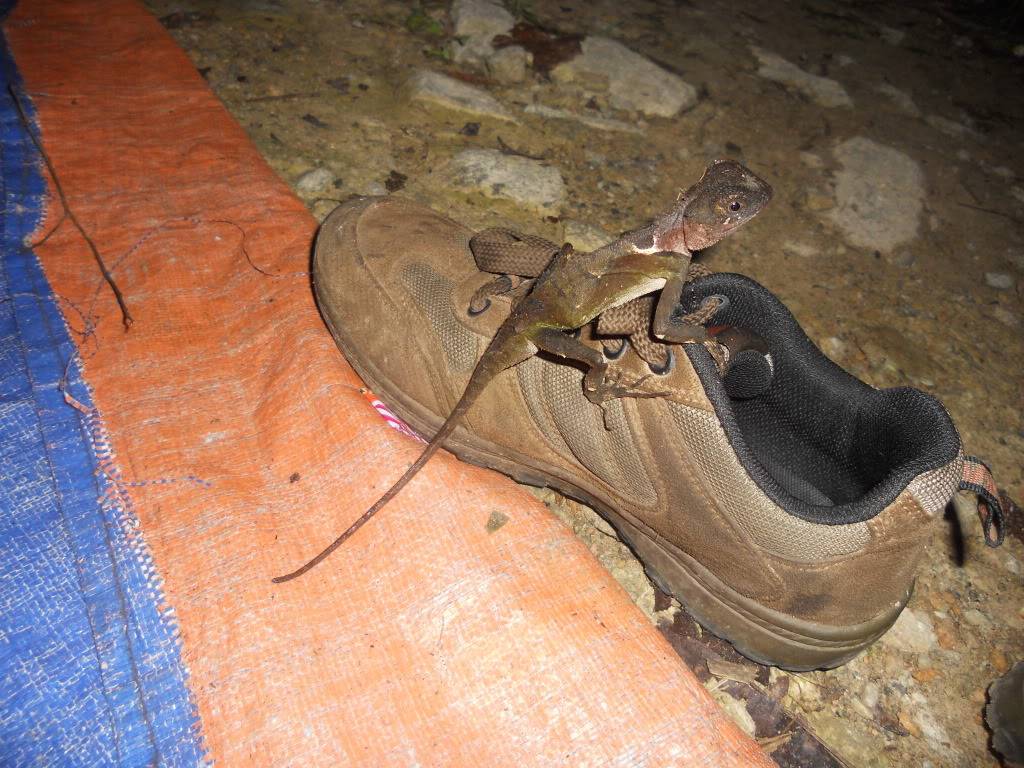 DSCN5174.jpg