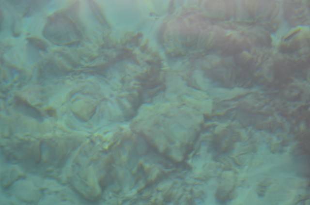 DSC_2181.jpg