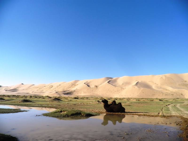 PA052797.jpg
