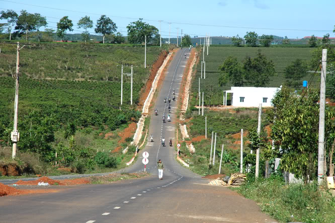 DSC_3331.jpg