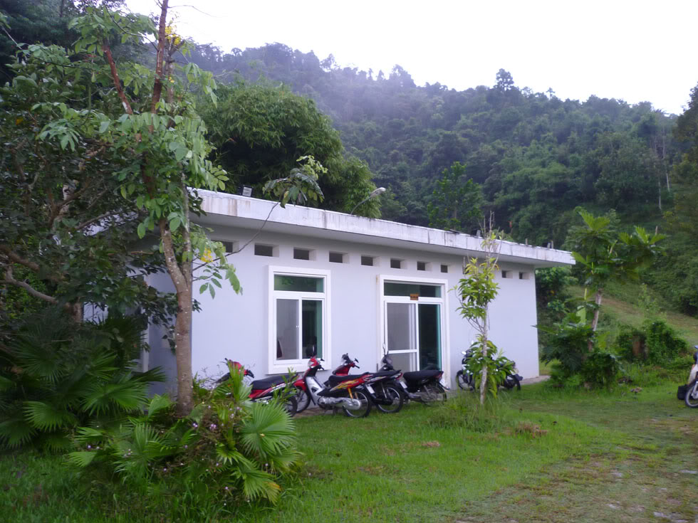 P1050661.jpg