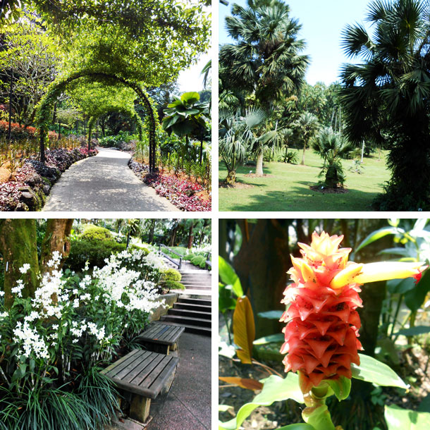 garden.jpg