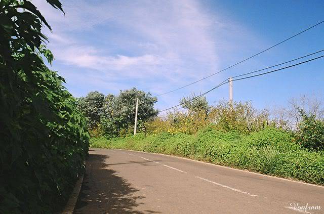 00042-06.jpg