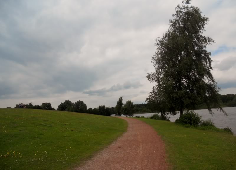 DSCN8504.jpg