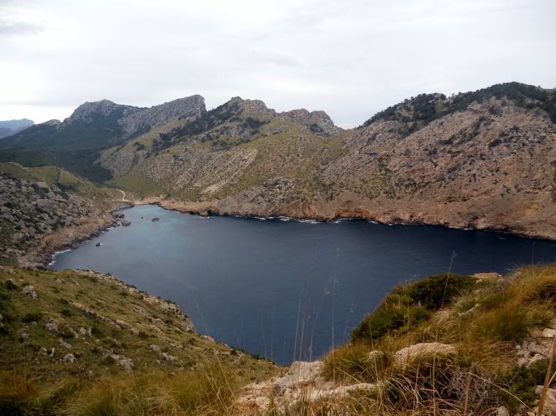 DSCN6015.jpg