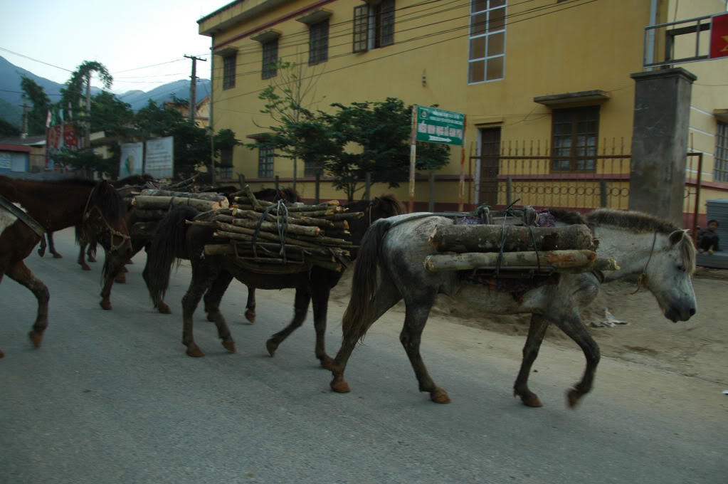 DSC_1166.jpg