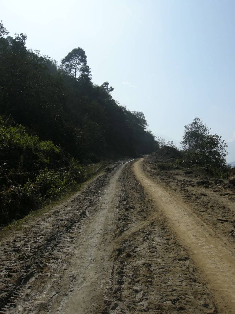 DSCN0397.jpg