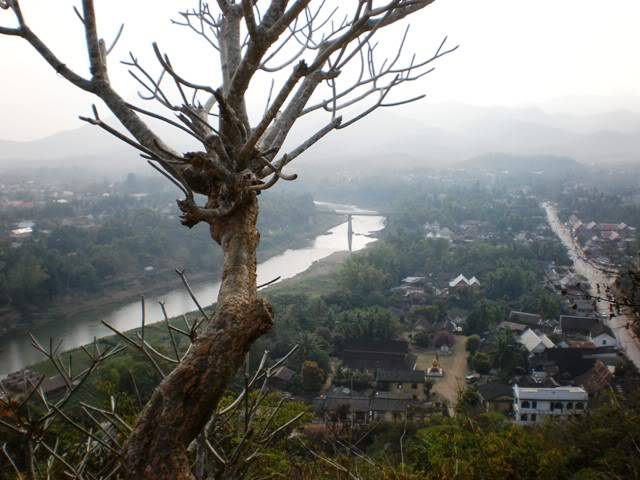 P2050621.jpg