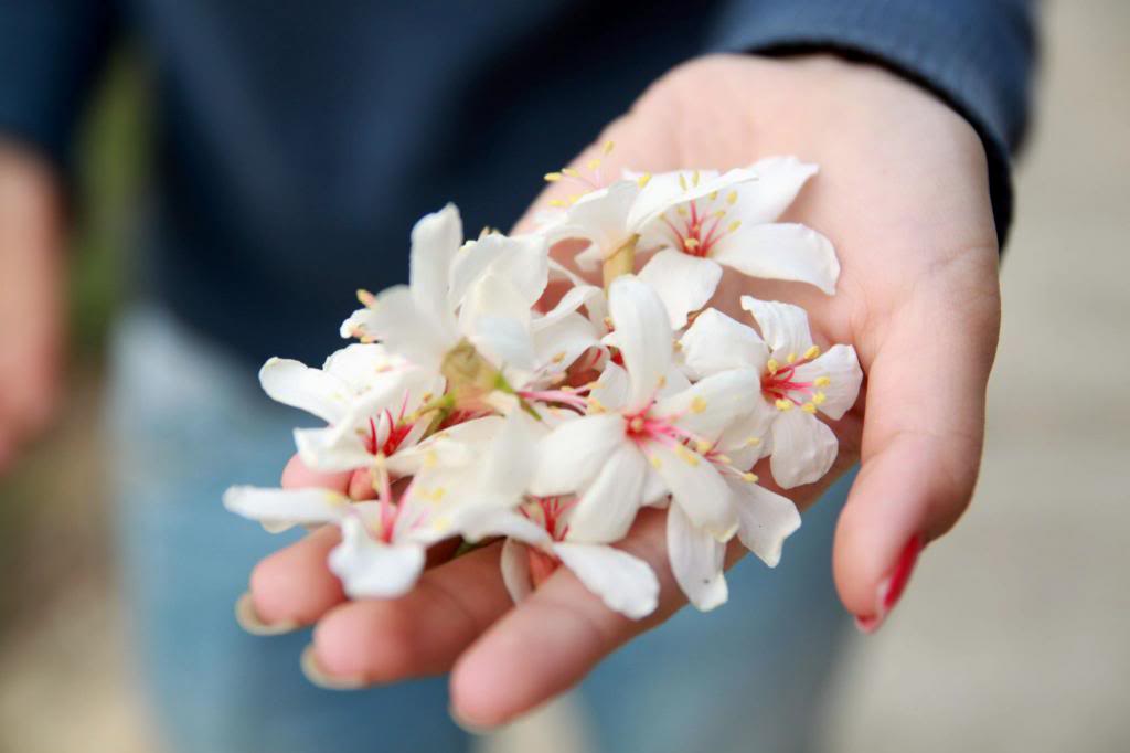 IMG3_zpsdaae6e21.jpg