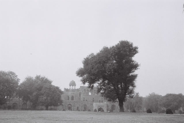 20110426-14.jpg