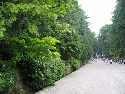 IMG_1564_resize.jpg