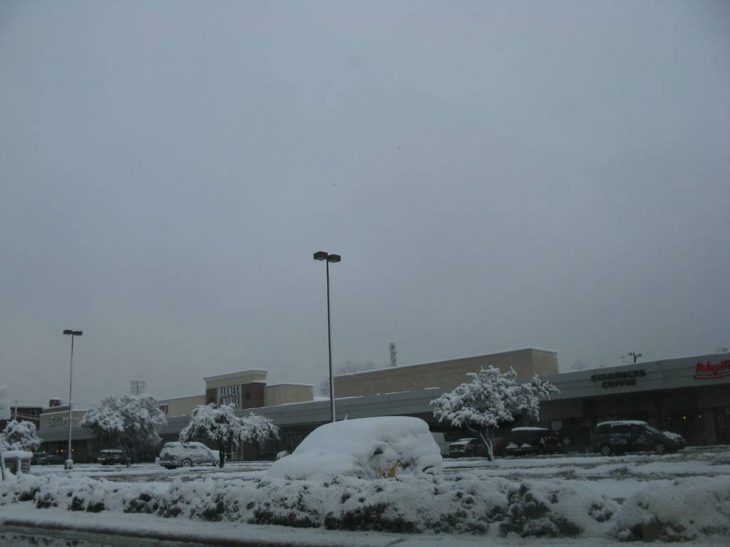 IMG_0072.jpg