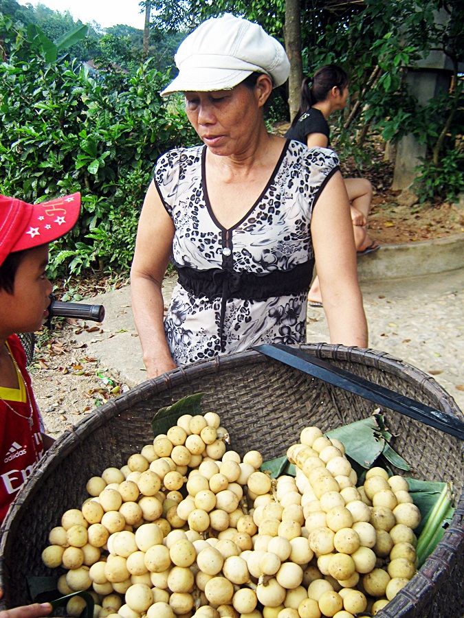 tienchau5.jpg