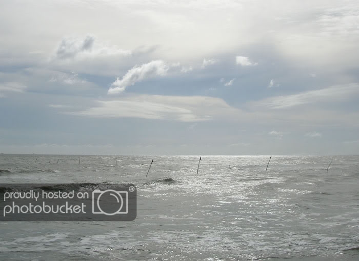DSCN0913.jpg