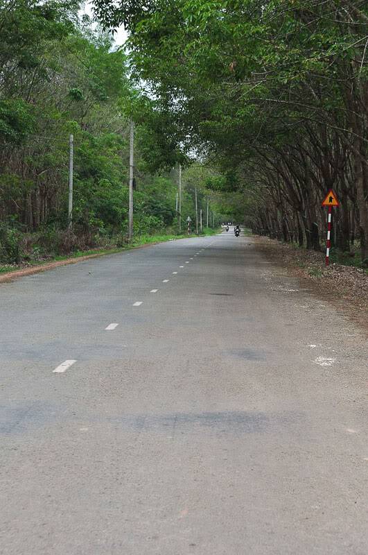 77.jpg