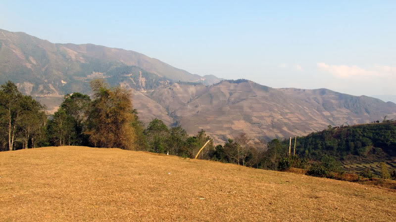 HongNgai2011220.jpg