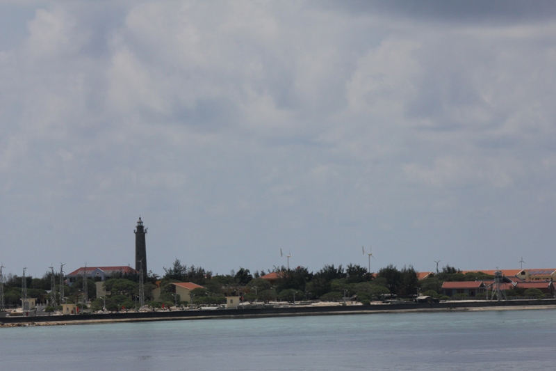 962_img9591.jpg