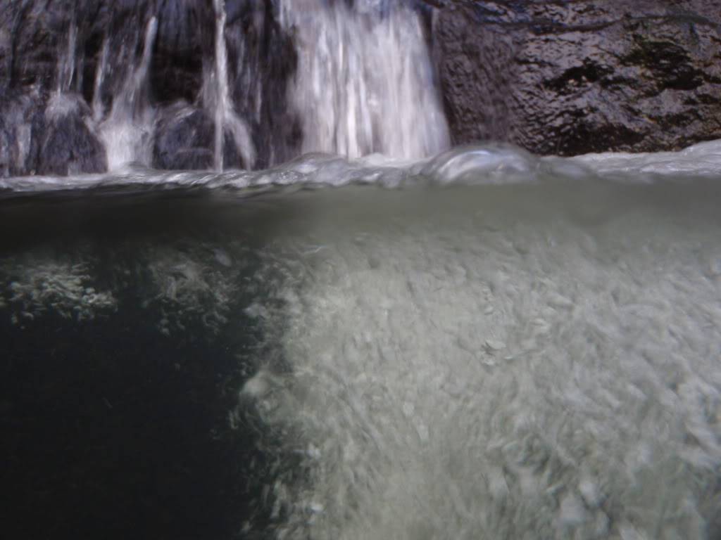 P3100048.jpg
