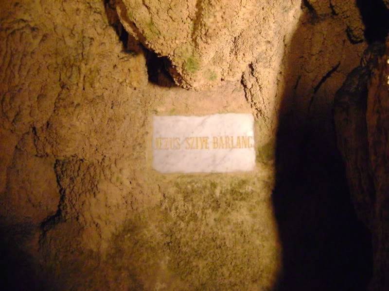 dsc05646.jpg