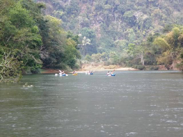 P2030454.jpg