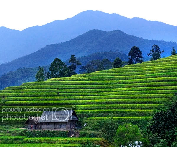 HaGiang2009a.jpg