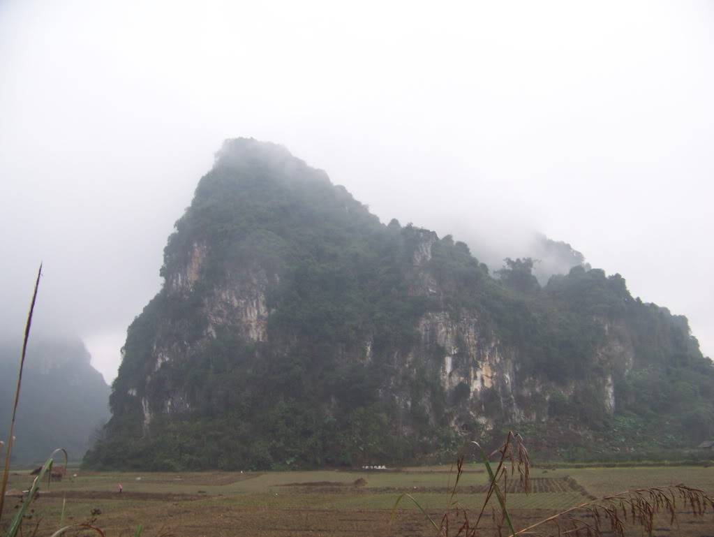 100_7788.jpg