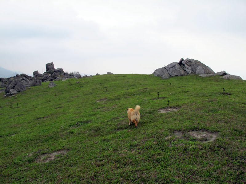 IMG_5657.jpg