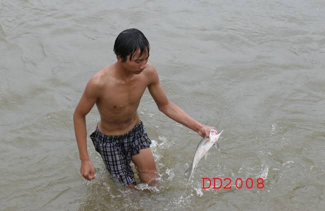 haloi_yenso2.jpg