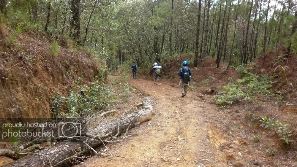 P1000611.jpg