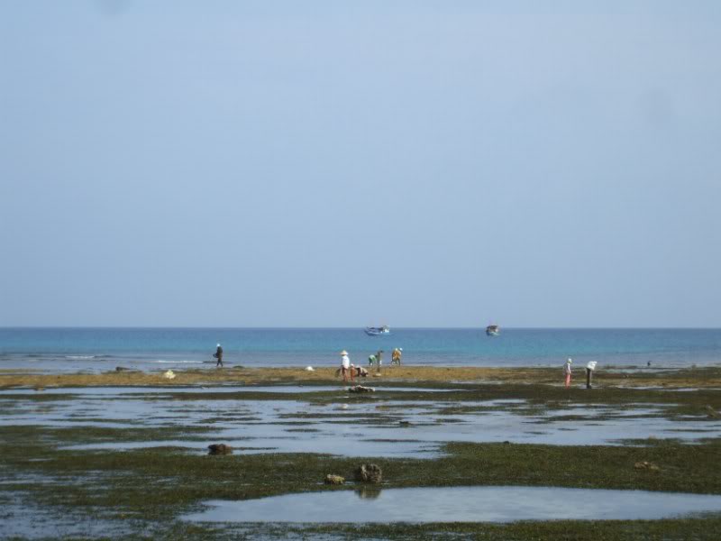 DSCF6790.jpg