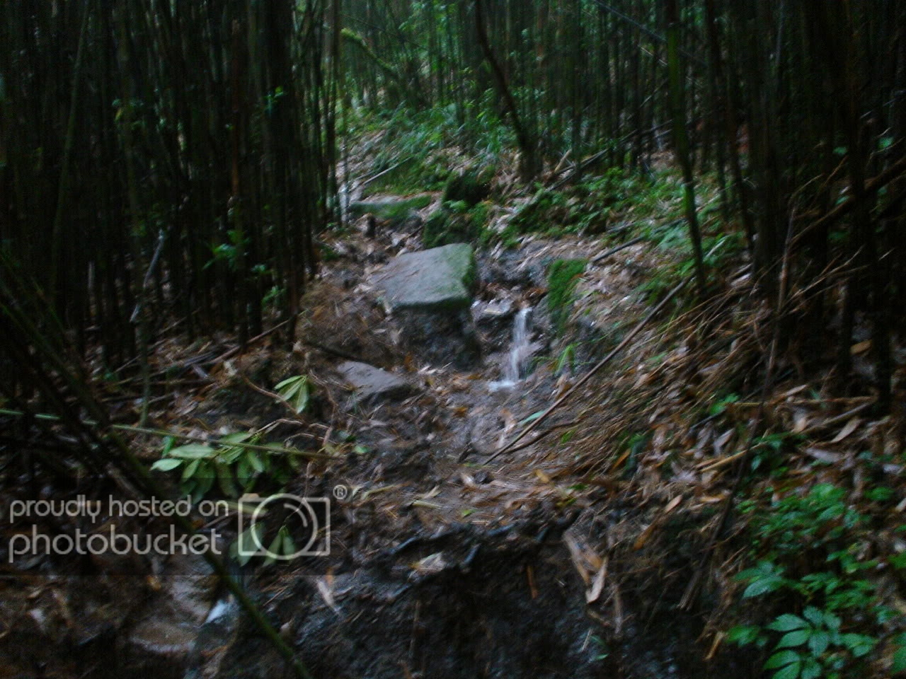 DSC05330-1.jpg