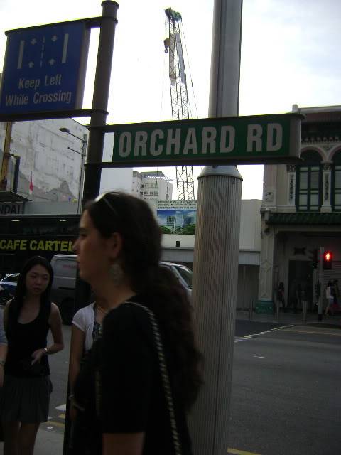 DSC03728.jpg
