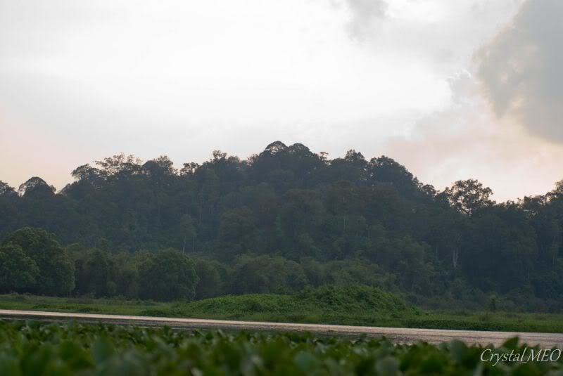 DSC_0175.jpg