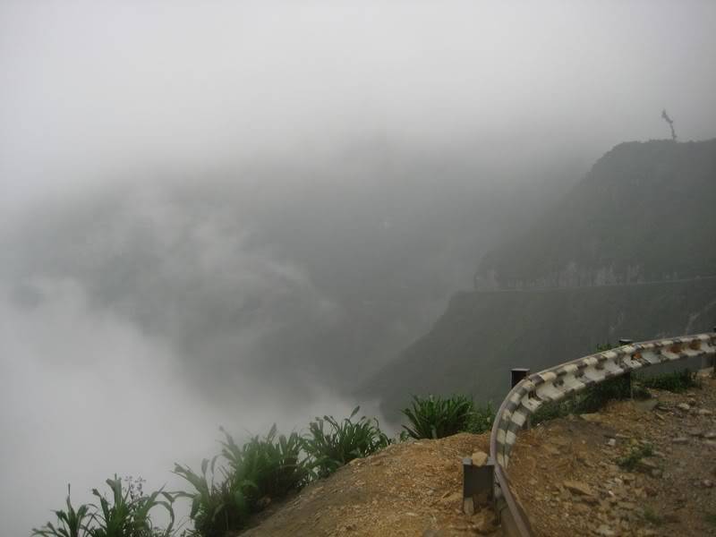 IMG_3337.jpg