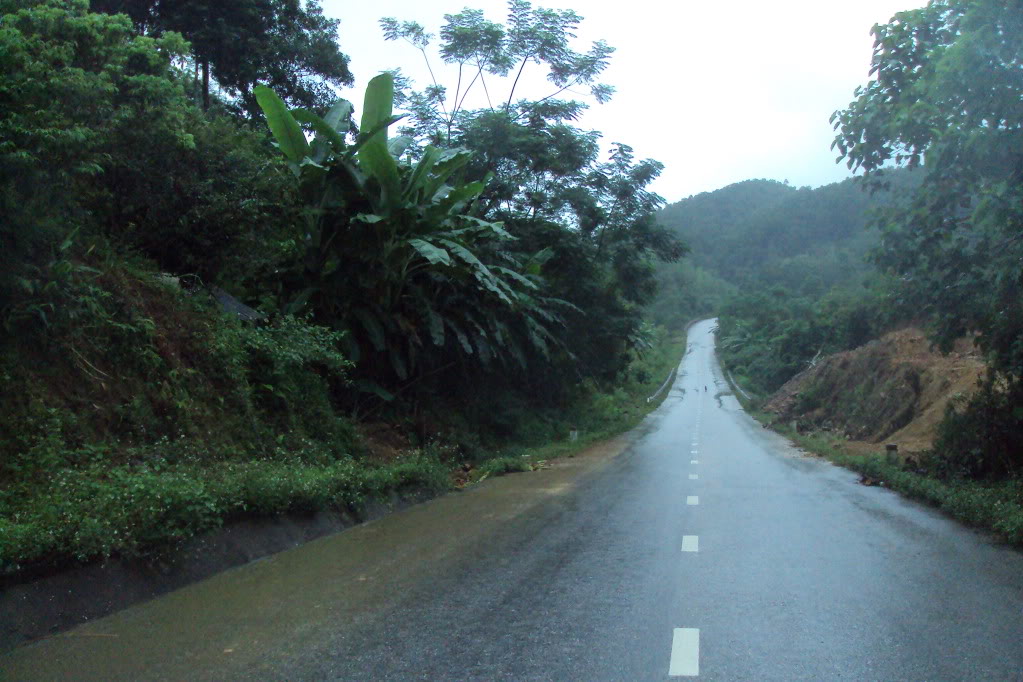 DSC09185.jpg
