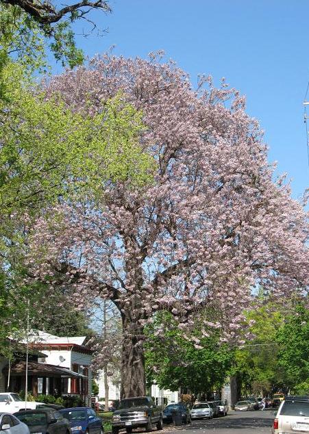 3422621068_cf86f38950_o.jpg